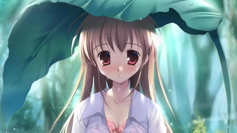 多多撸金：落地项目傻瓜式配合软件半自动日入2000+-巅峰创业网