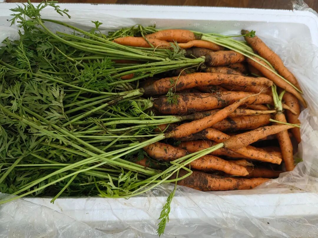 图片[3]-2025赚钱趋势已经很明确了！这3个风口，你踩中了吗？-巅峰创业网