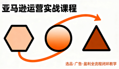 毕方电商·亚马逊全站会员课程(更新3月)-巅峰研习社