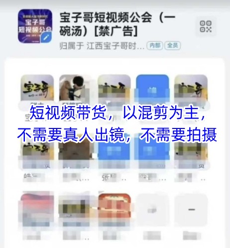 宝子哥头部团队短视频带货，以混剪为主，不需要真人出镜，不需要拍摄【更新26年3月】-巅峰研习社