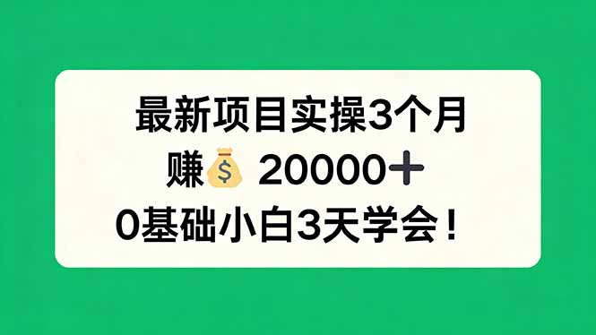 最新项目实操3个月,赚钱20000+,0基础小白3天学会!-巅峰研习社