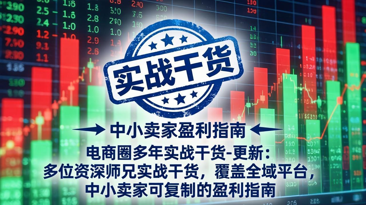 电商圈多年实战干货-更新4月：多位资深师兄实战干货，覆盖全域平台，中小卖家可复制的盈利指南-巅峰研习社