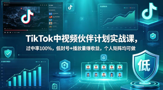 TikTok中视频伙伴计划实战课，过中率100%，低封号+播放量賺收益，个人矩阵均可做-巅峰研习社
