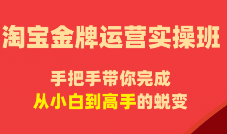 飓风电商·淘宝金牌运营实操班-巅峰研习社
