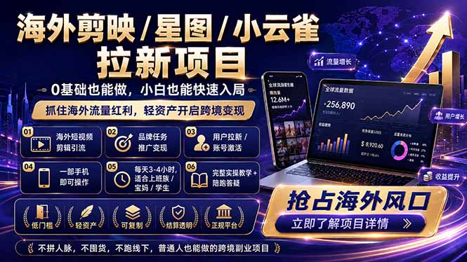 海外剪映 / 星图 / 小云雀拉新项目 普通人也能上手的跨境流量变现副业-巅峰研习社