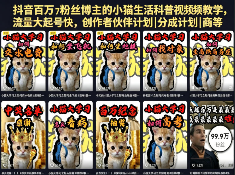 抖音百万粉丝博主的小猫生活科普视频教学,流量大起号快,创作者伙伴计划|分成计划|商单|收徒等-巅峰研习社