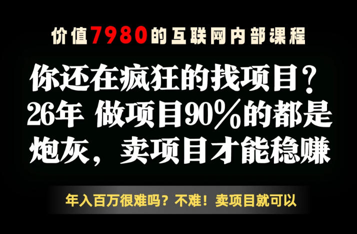 26年请不要疯狂的找项目了，卖项目远比你想象的暴利，你也可以月入10W+【揭秘】-巅峰研习社