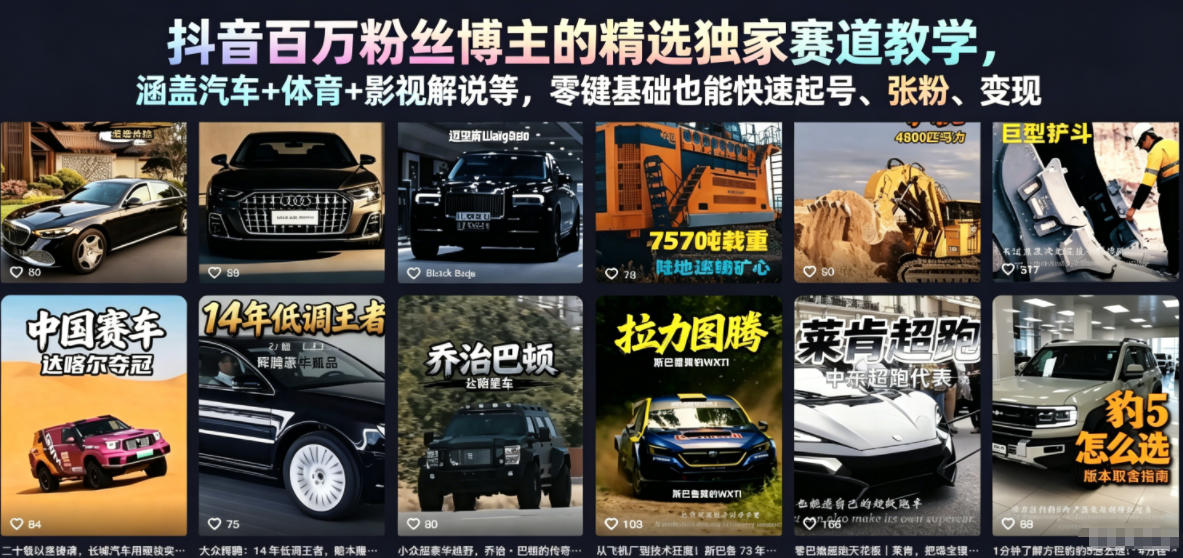 抖音百万粉丝博主的精选独家赛道教学,涵盖汽车+体育+影视解说等,零基础也能快速起号、涨粉、变现-巅峰研习社
