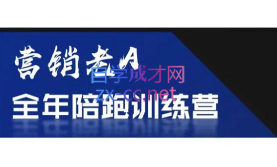 老A营销训练营(更新6月)-巅峰研习社