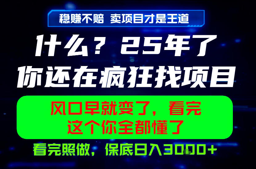 26年,请不要疯狂的找项目做了!卖项目才是真的稳賺不赔,看完照做,保底日入1k+【揭秘】-巅峰研习社