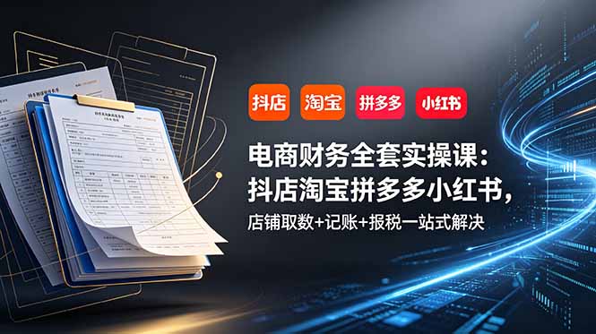 电商财务全套实操课:抖店淘宝拼多多小红书,店铺取数+记账+报税一站式解决-巅峰研习社