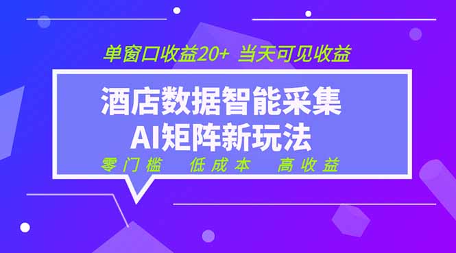 2026酒店数据采集ai智能矩阵新风口  低成本   高收益   当天见收益   单窗口20+-巅峰研习社