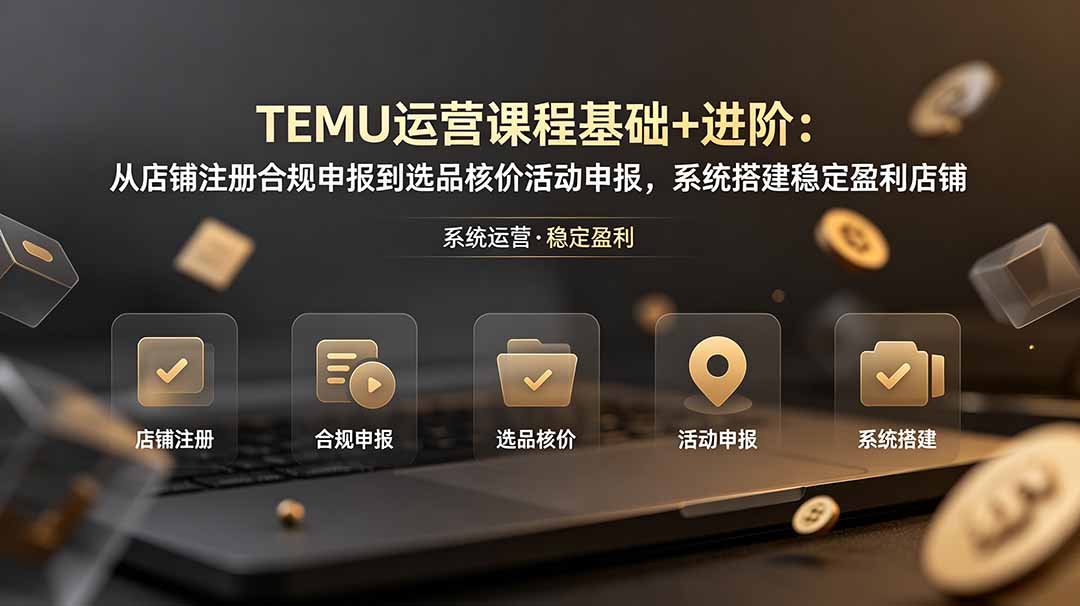 TEMU运营课程(基础+进阶-巅峰研习社