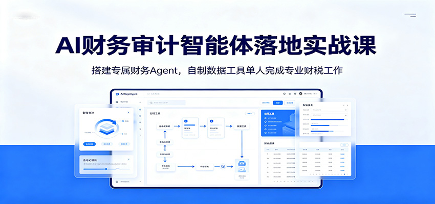 AI财务审计智能体落地实战课：搭建专属财务Agent，自制数据工具单人完成专业财税工作-巅峰研习社