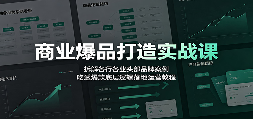 商业爆品打造实战课：拆解各行各业头部品牌案例，吃透爆款底层逻辑落地运营教程-巅峰研习社