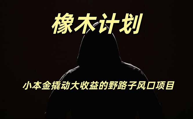 橡木计划，小投入撬动高回报的风口野路子项目，一天投入2小时左右-巅峰研习社
