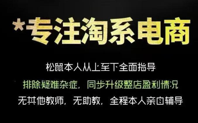 松鼠会电商VIP课程,从基础布局到高阶优化,助你掌握淘宝运营逻辑,提升店铺流量与转化(更新0809)-巅峰研习社