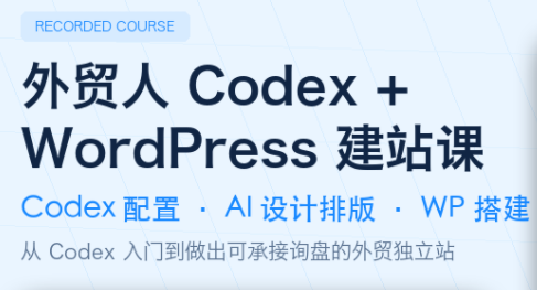 大卫·外贸人Codex + WordPress建站课(更新8月)-巅峰研习社