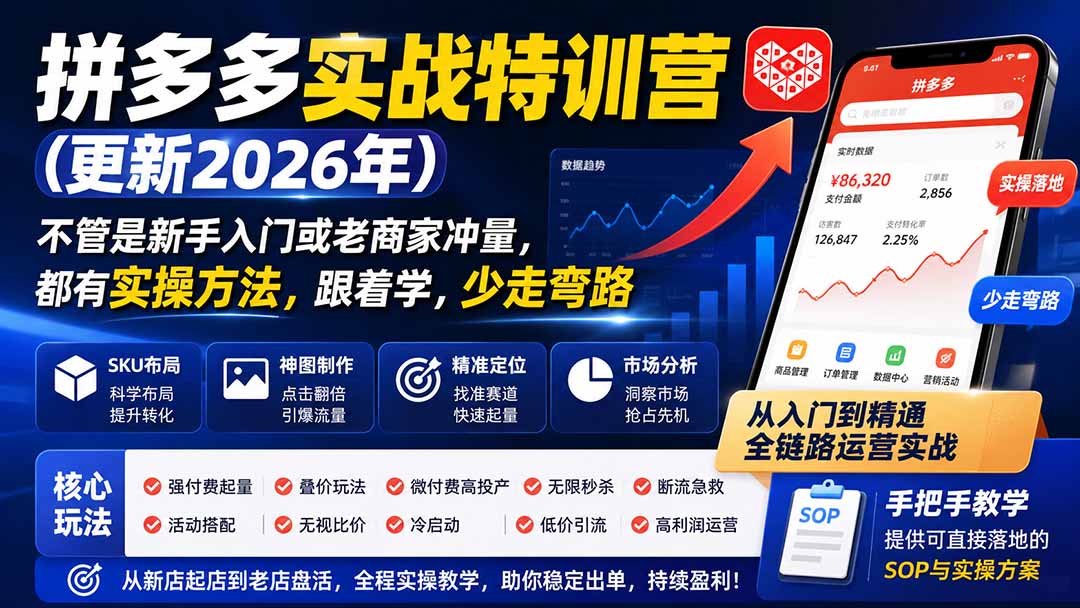 拼多多实战特训营(更新26年0822-巅峰研习社