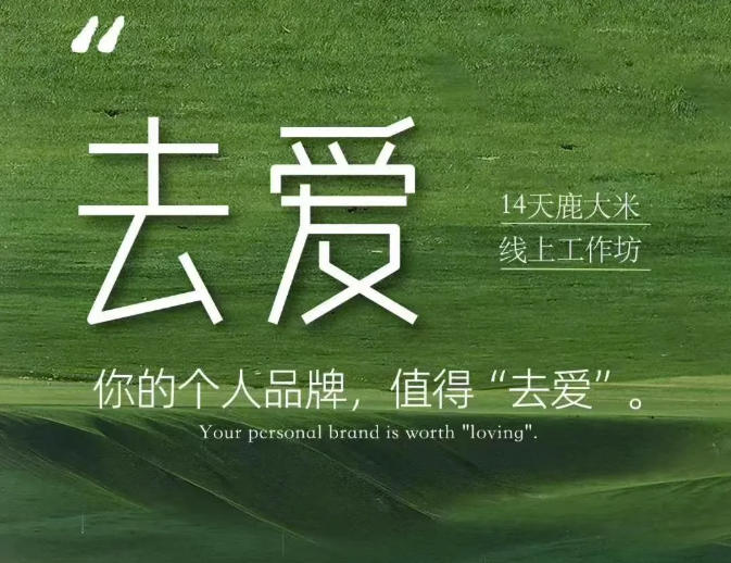 去爱14天鹿大米线上工作坊,你的个人品牌,值得“去爱”-巅峰研习社