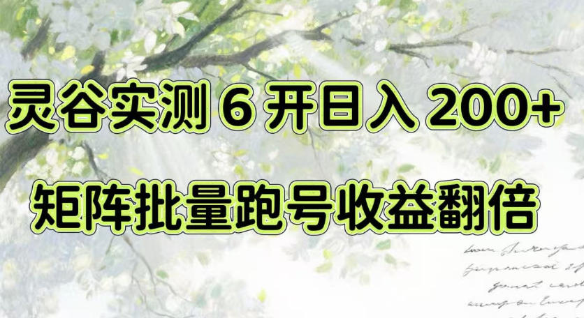 一台电脑就能做！灵谷实测6开日入200+，矩阵批量跑号收益翻倍【揭秘】-巅峰研习社