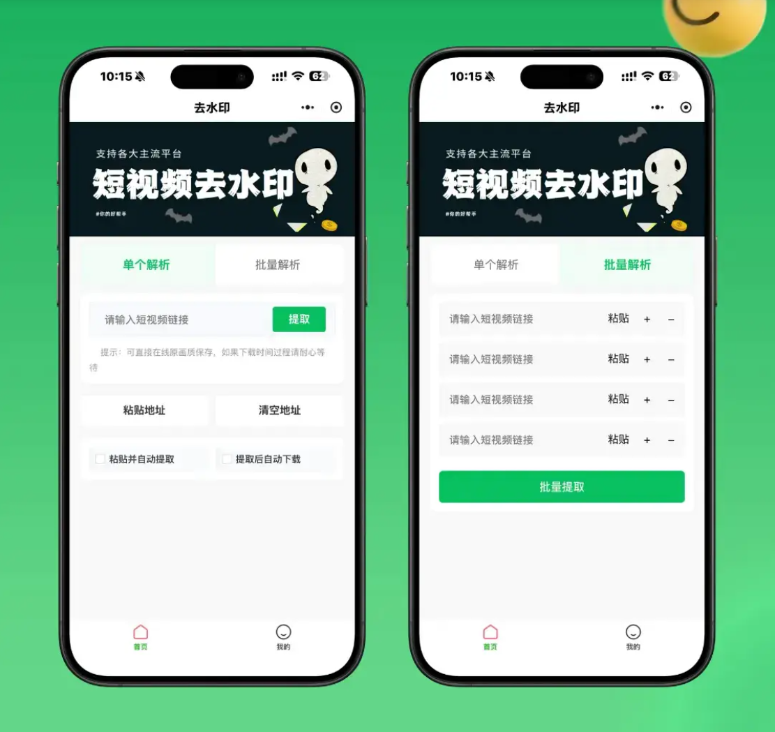 2026最新去水印小程序源码 v1.6.5 带流量主-巅峰研习社