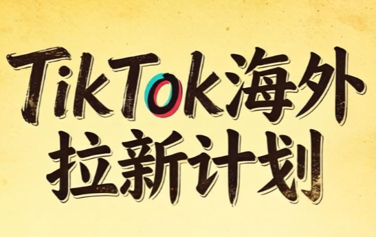 Tc联盟·TikTok海外拉新项目(更新9月)-巅峰研习社