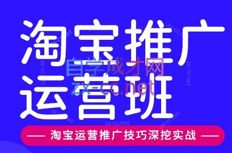 美迪电商·淘宝高级运营班+推广运营班(更新9月)-巅峰研习社