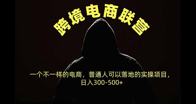 跨境电商联营，一个不一样的电商，普通人可操作日入300-500+-巅峰研习社