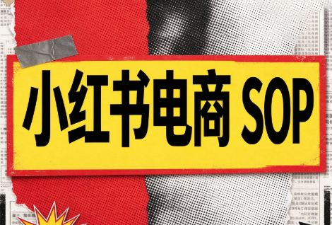 书豪必胜小红书电商sop(更新9月)-巅峰研习社