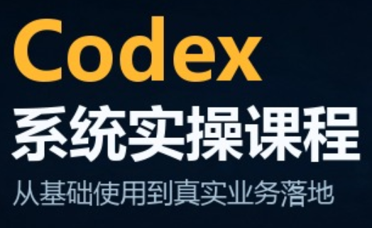 codex系统实操课程(更新10月)-巅峰研习社