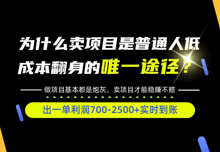 普通人如何靠互联网賺取自己的第一桶金！全类目实操型教学，看完你全都懂了！【揭秘】-巅峰研习社