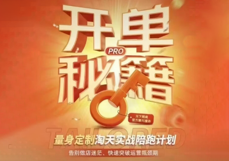 天下网商·淘宝天猫陪跑计划(更新10月)-巅峰研习社
